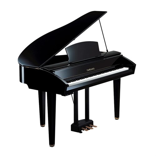 Đàn Piano Điện Yamaha DPG1